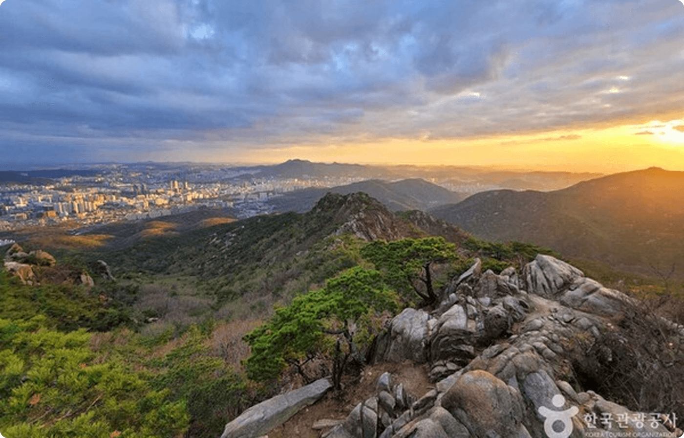 Gemini_Generated_Image_vpd6rbvpd6rbvpd6 (1)-12