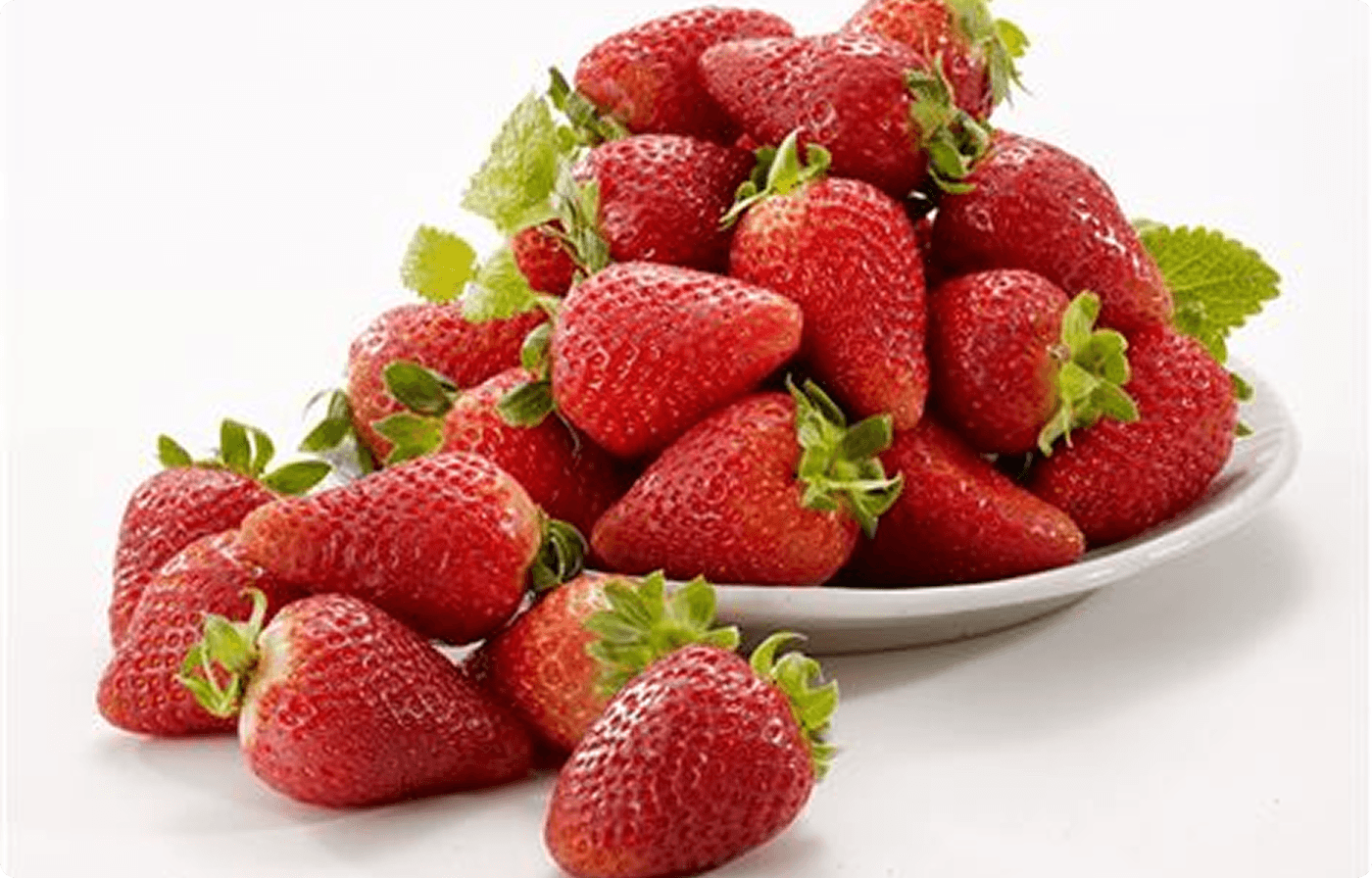 Gemini_Generated_Image_vpd6rbvpd6rbvpd6 (1)-9