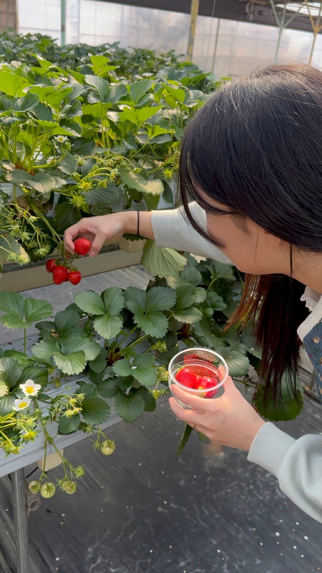 meeting detail image wcaq2rdei6nmj80obf76e40d