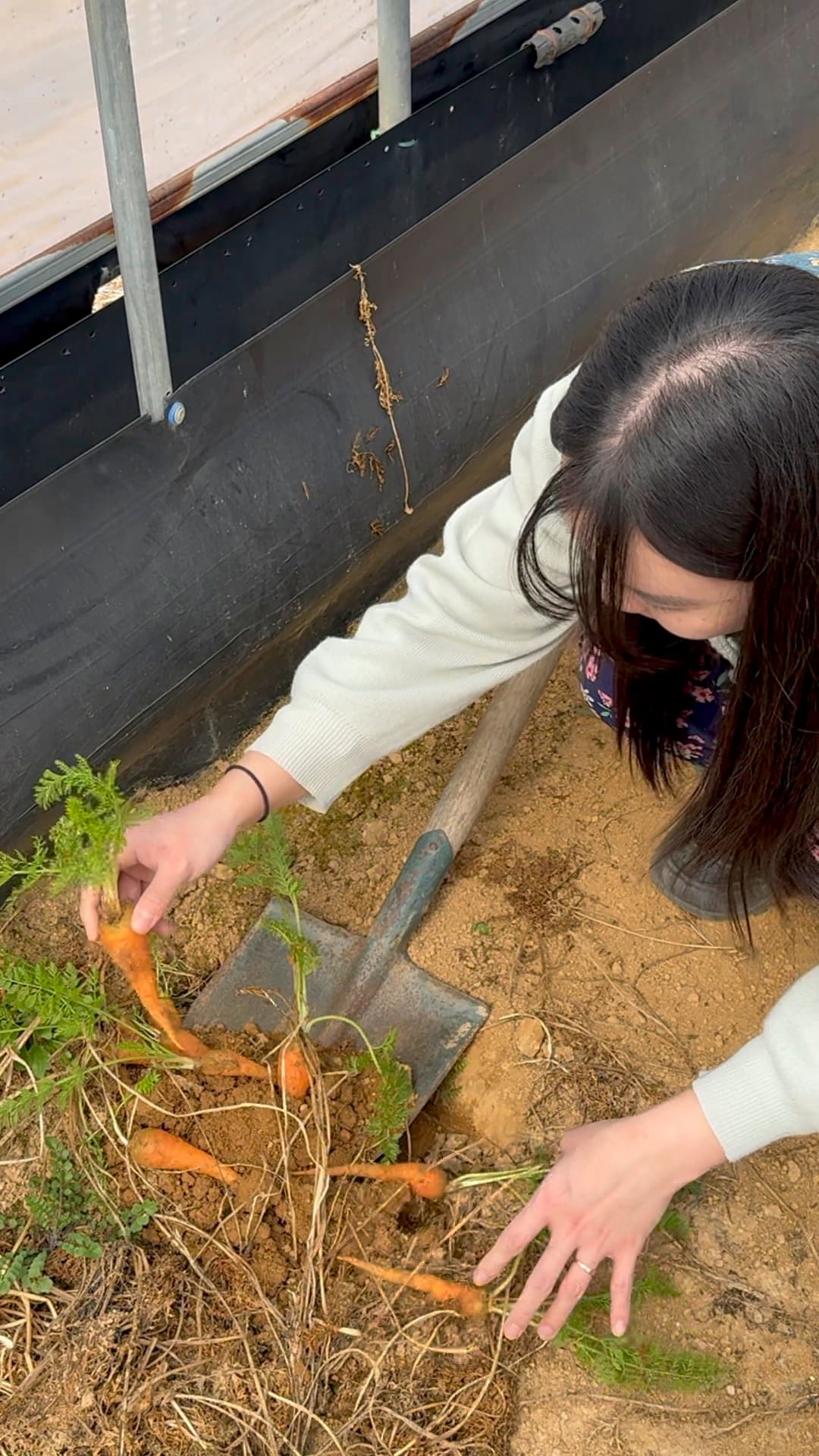 meeting detail image hk6cmu80p6xmycv8pv0w7nu9