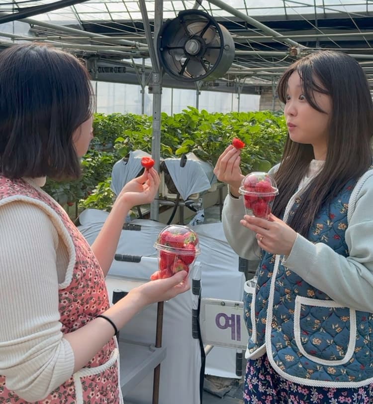 KakaoTalk_Photo_2026-03-18-12-03-51