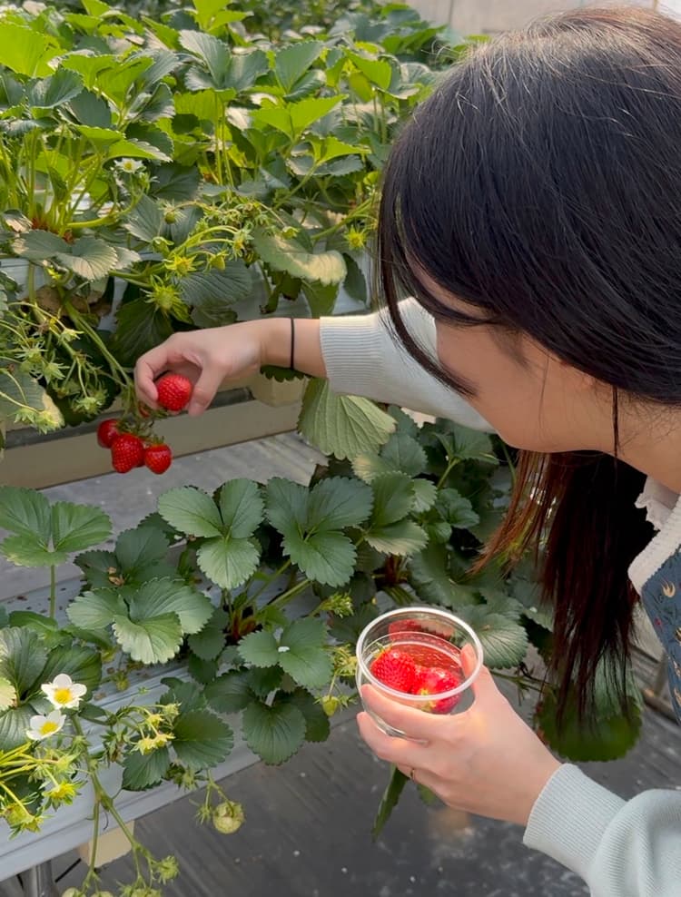 KakaoTalk_Photo_2026-03-18-12-07-51